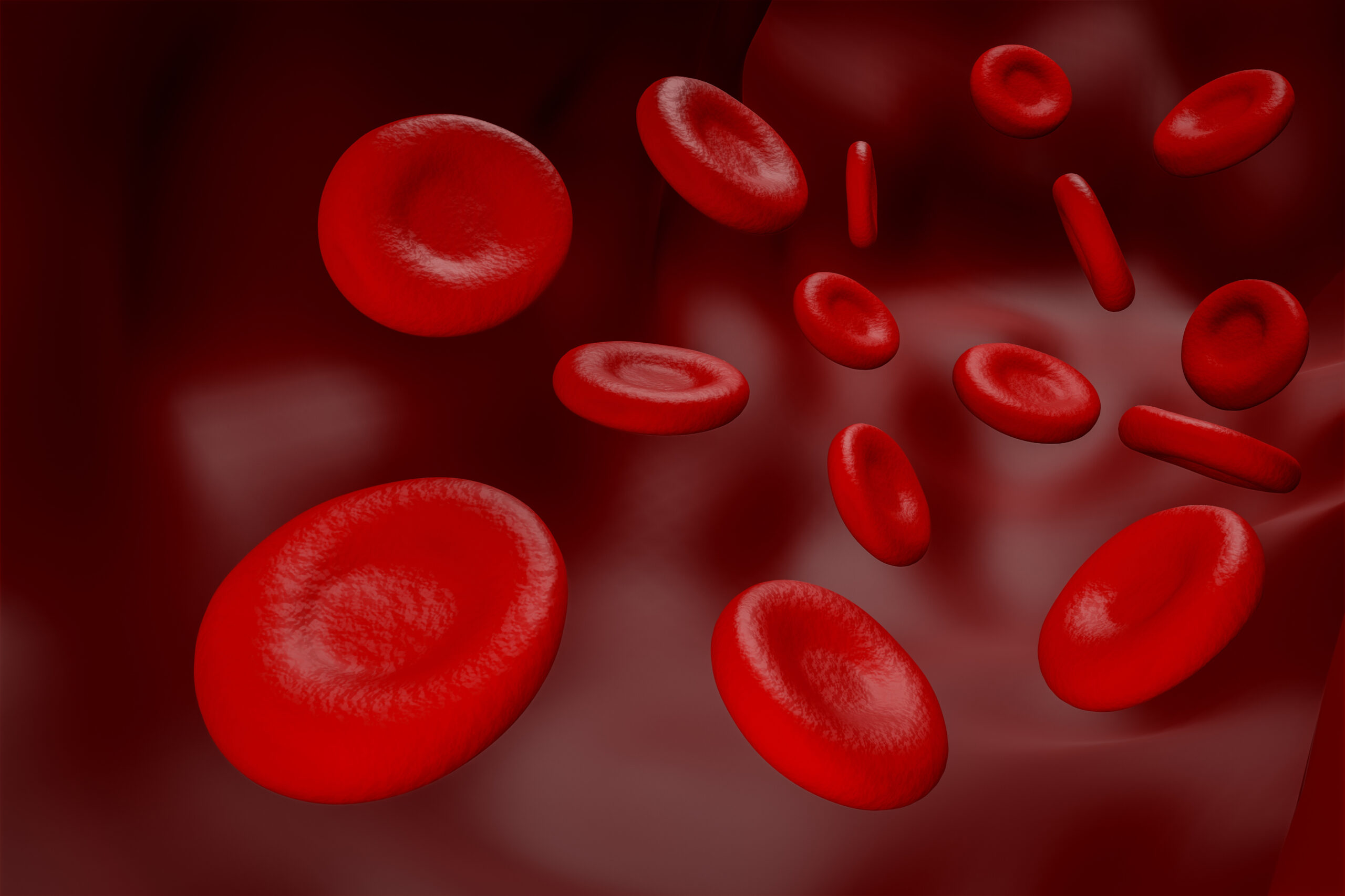 img bloodbank scaled