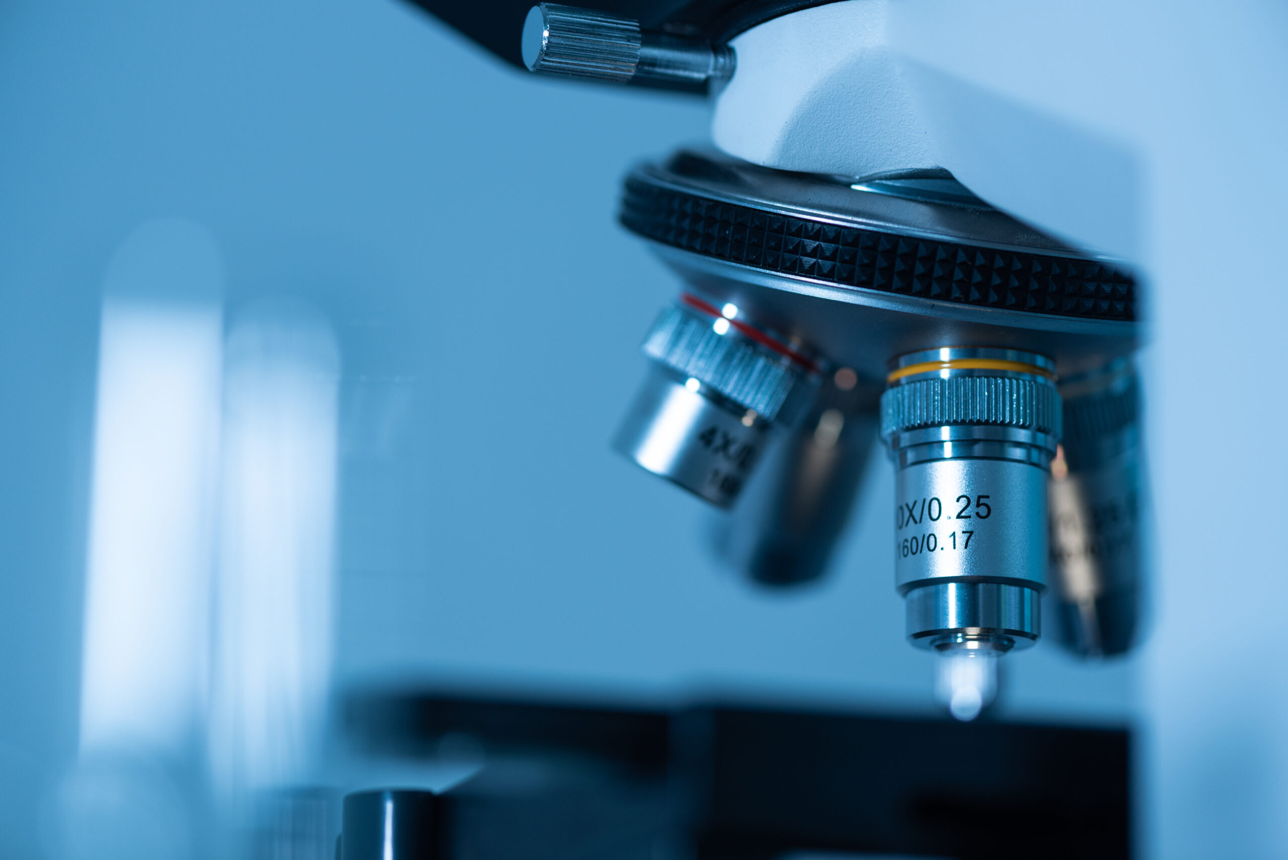 img histopathology scaled
