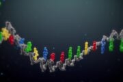 sequencing; sequencing by expansion