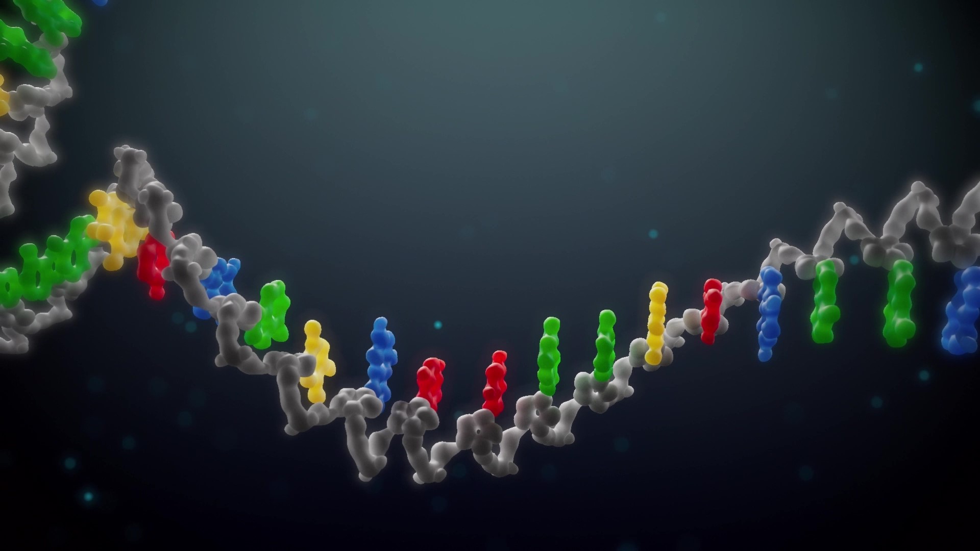 sequencing; sequencing by expansion