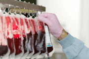 dengue blood transfusion