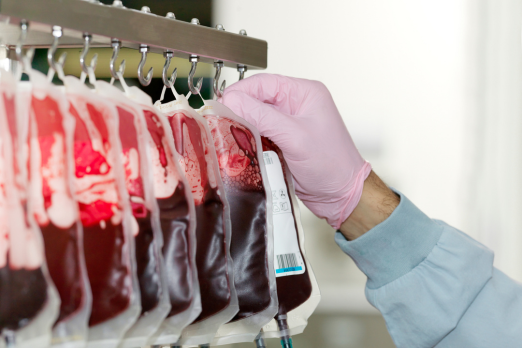 dengue blood transfusion