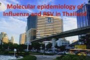 Molecular epidemiology of influenza and RSV in Thailand