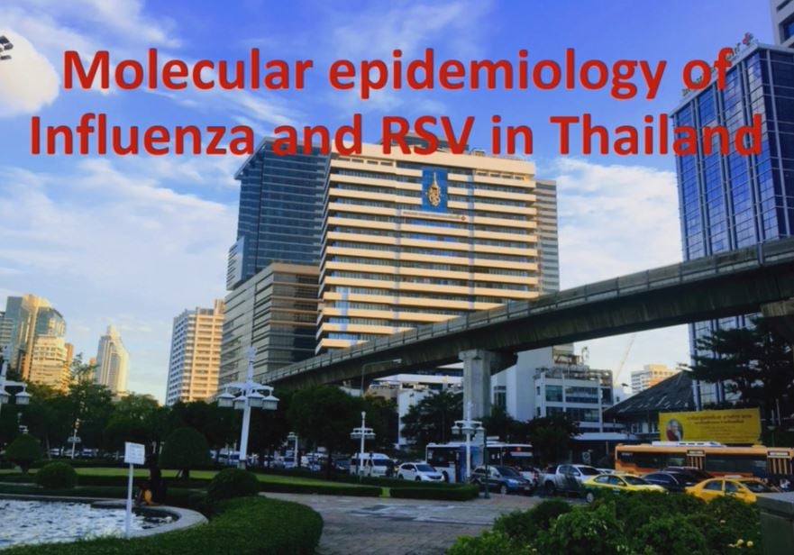 Molecular epidemiology of influenza and RSV in Thailand