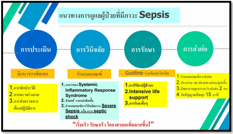 Thai sepsis image 2