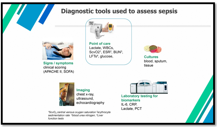 Thai sepsis image 4