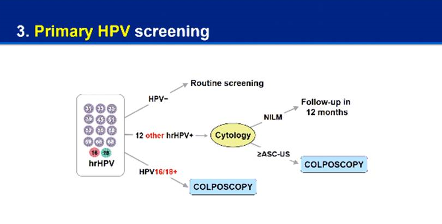 Thai HPV DNA - image 2